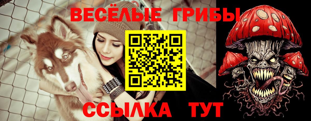 Ачинск  Галлюциногенные грибы мухоморы  закладка  Псилоцибиновые грибы GOLDEN TEACHER  Вход с VPN 